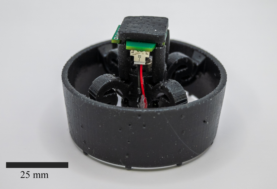 An individual vibratory motile robot